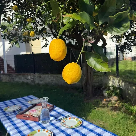 Airtegal Casa Da *